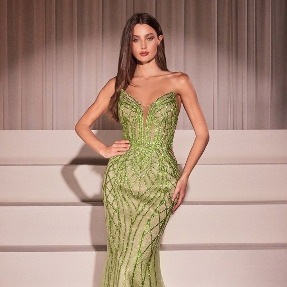 NEW LONG FORMAL SLEEVELESS STRAPLESS DRESS EMBROIDERED WITH BEADS CD CC6018